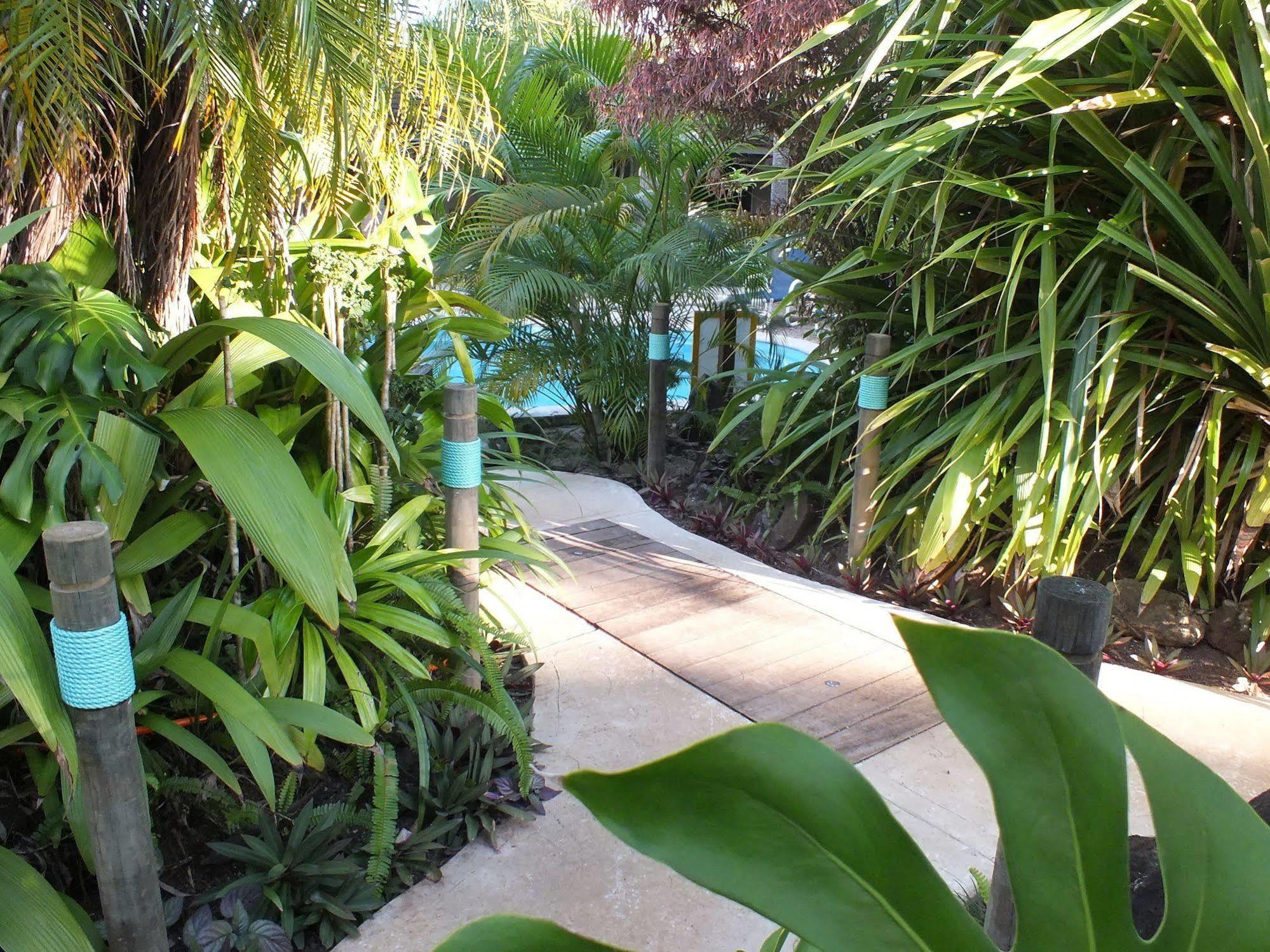 Rarotonga Daydreamer Escape Экстерьер фото
